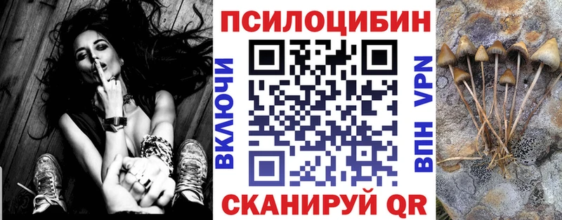 Псилоцибиновые грибы Psilocybe  shop как зайти  Галич 